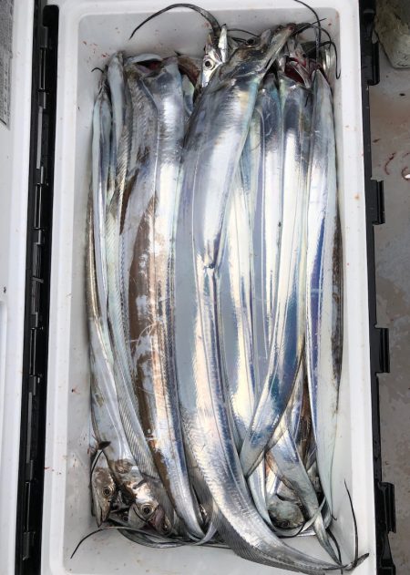 フィッシング　キッタカ 釣果