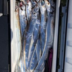 フィッシング　キッタカ 釣果