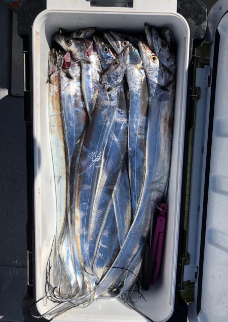 フィッシング　キッタカ 釣果