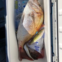 フィッシング キッタカ 釣果