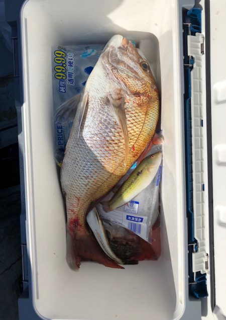 フィッシング キッタカ 釣果