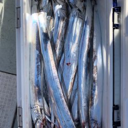 フィッシング キッタカ 釣果