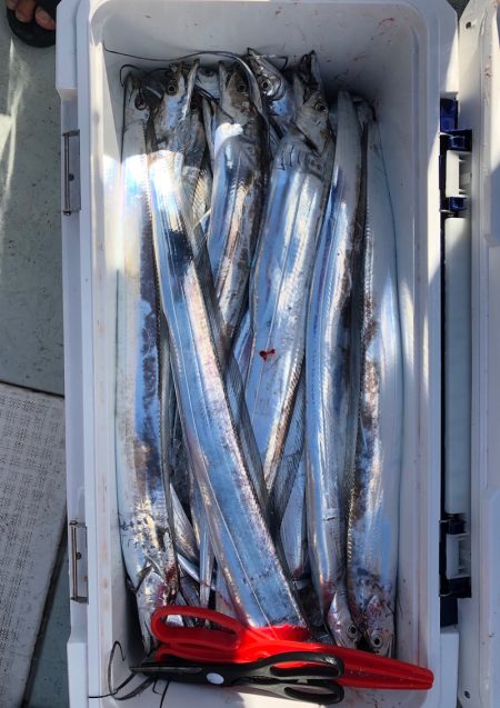 フィッシング キッタカ 釣果