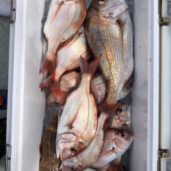 フィッシング キッタカ 釣果