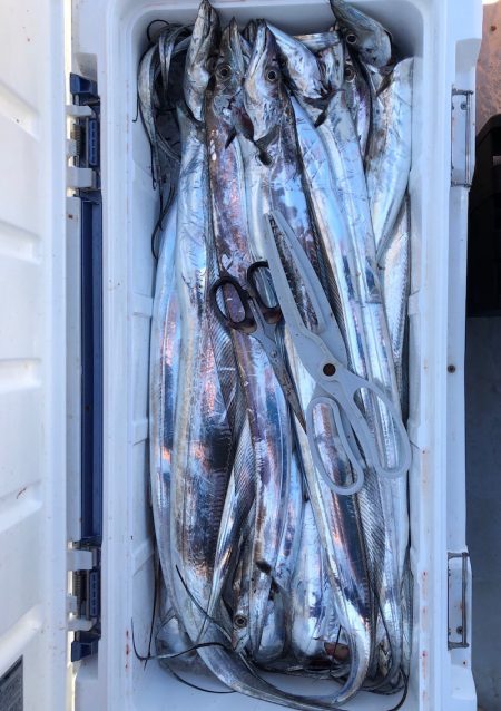 フィッシング　キッタカ 釣果