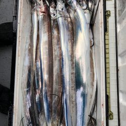 フィッシング　キッタカ 釣果