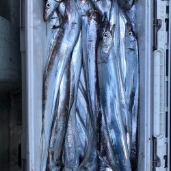 フィッシング キッタカ 釣果