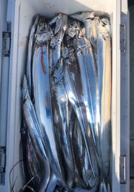 フィッシング キッタカ 釣果