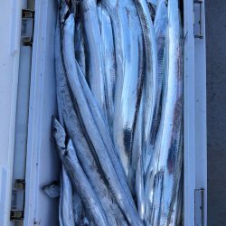 フィッシング　キッタカ 釣果