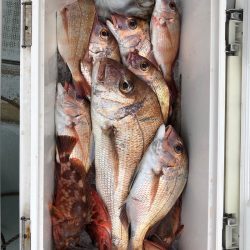 フィッシング キッタカ 釣果