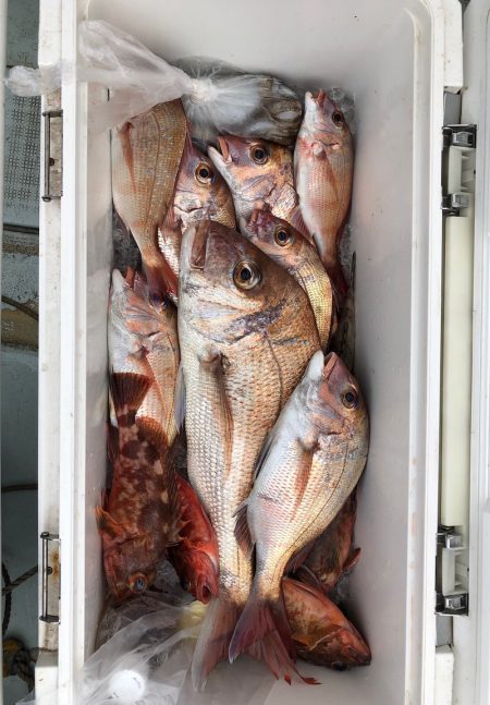 フィッシング キッタカ 釣果