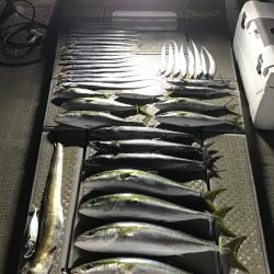 SeaRide(シーライド) 釣果