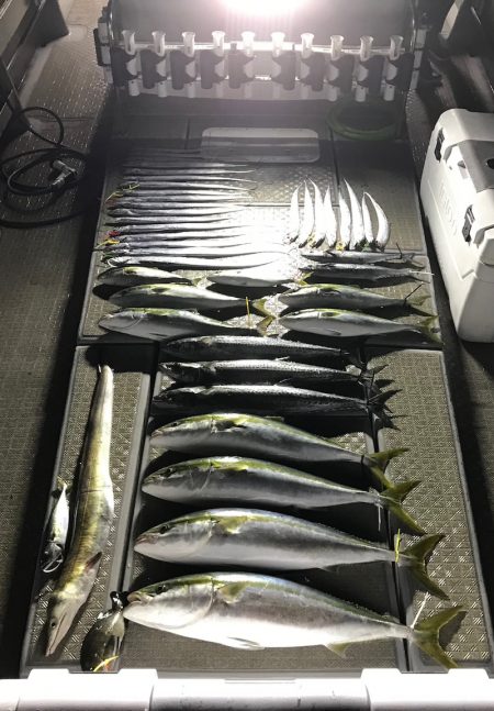 SeaRide(シーライド) 釣果