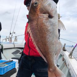 フィッシング キッタカ 釣果