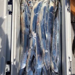 フィッシング　キッタカ 釣果