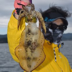 渡船屋たにぐち 釣果