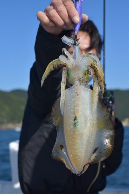 渡船屋たにぐち 釣果