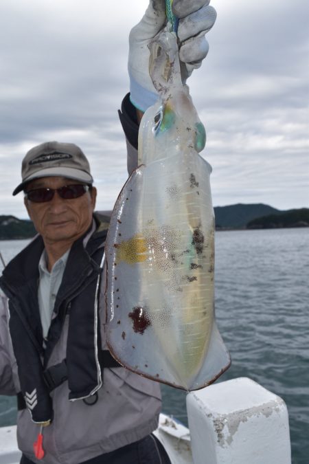 渡船屋たにぐち 釣果