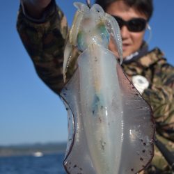 渡船屋たにぐち 釣果