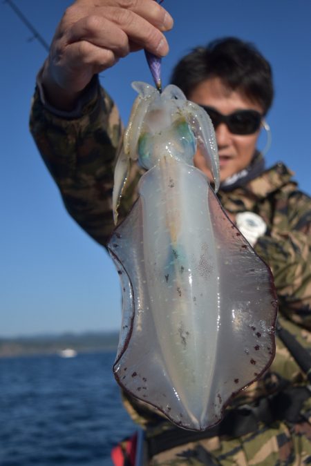 渡船屋たにぐち 釣果