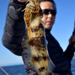 渡船屋たにぐち 釣果