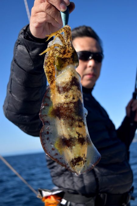 渡船屋たにぐち 釣果