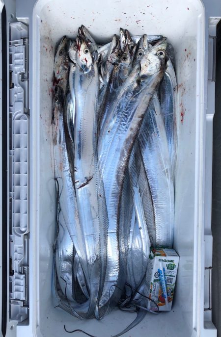 フィッシング キッタカ 釣果