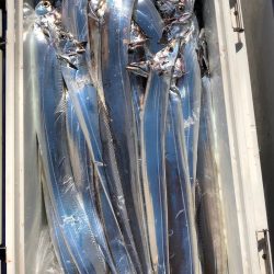 フィッシング　キッタカ 釣果