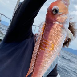 あみや渡船 JIGBOY 釣果