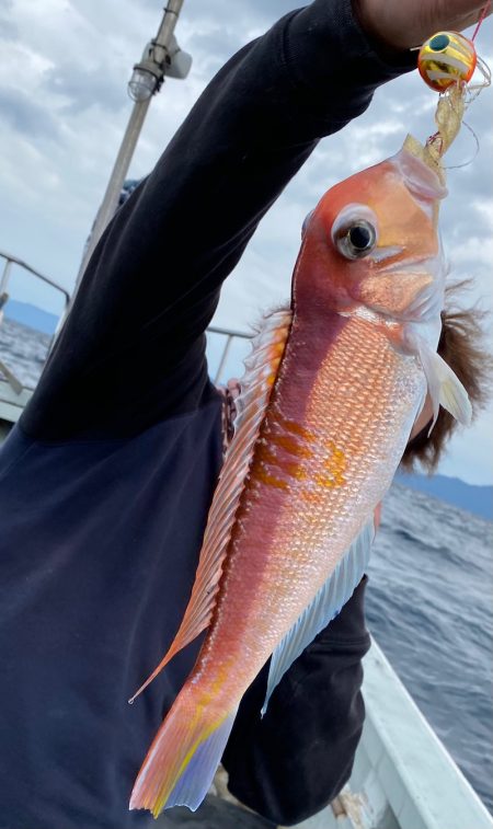 あみや渡船 JIGBOY 釣果