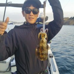 マリンガイド福丸 釣果