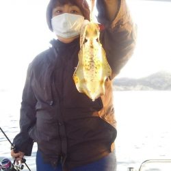 マリンガイド福丸 釣果