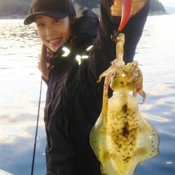 マリンガイド福丸 釣果