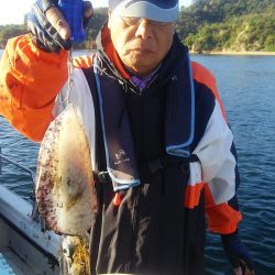 マリンガイド福丸 釣果