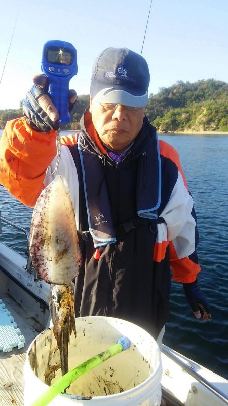 マリンガイド福丸 釣果