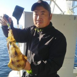 マリンガイド福丸 釣果