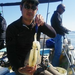 マリンガイド福丸 釣果