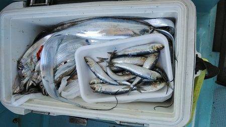 フィッシングガイド りょう 釣果