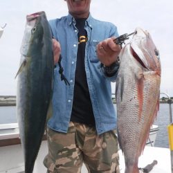 JDI Racing シールズマリンレジャー 釣果