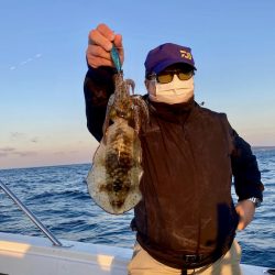 South Current 釣果