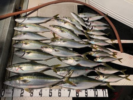 オーシャンスター(Ocean Star) …