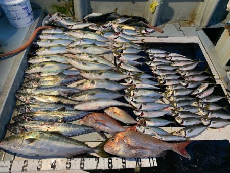 オーシャンスター(Ocean Star) …