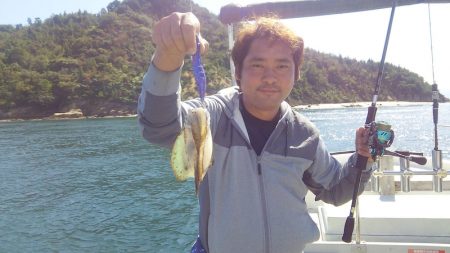 マリンガイド福丸 釣果