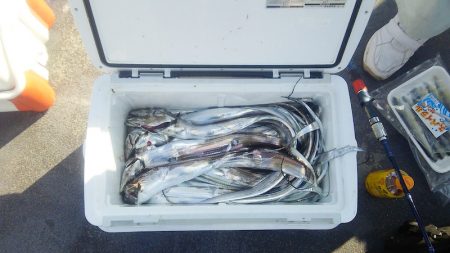 マリンガイド福丸 釣果