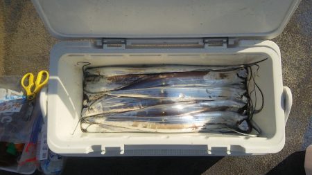 マリンガイド福丸 釣果