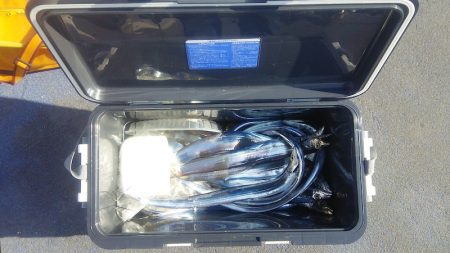 マリンガイド福丸 釣果