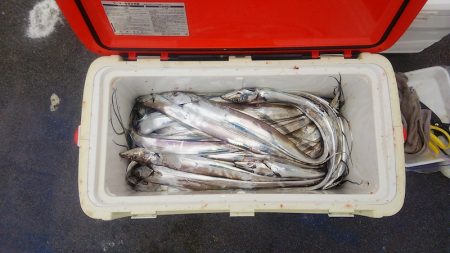 マリンガイド福丸 釣果