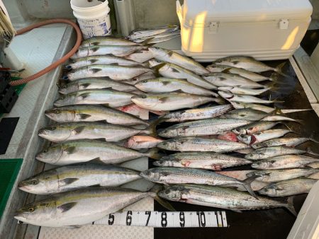 オーシャンスター(Ocean Star) …