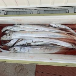 オーシャンスター(Ocean Star) 釣果