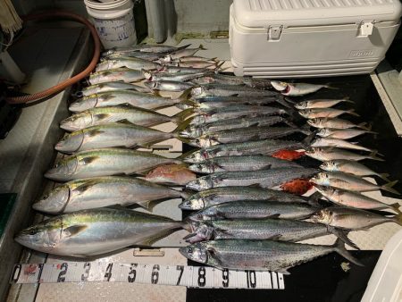 オーシャンスター(Ocean Star) …